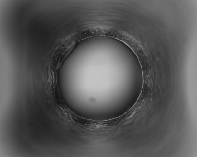 X0000087701061200705111359