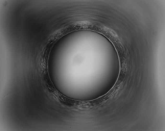 X0000087701062200705111359