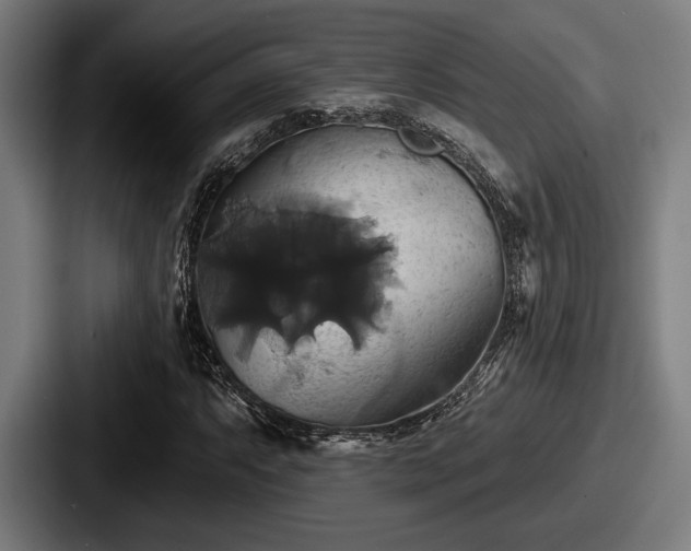 X0000087701063200705111359