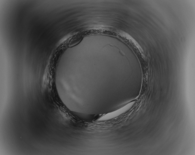 X0000087701064200705111359