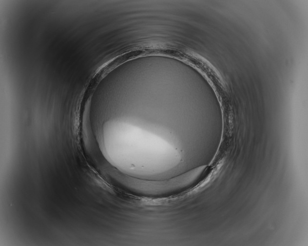 X0000087701065200705111359