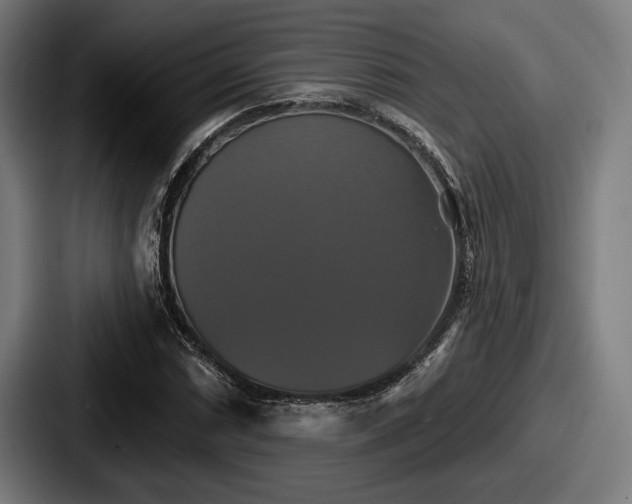 X0000087701066200705111359