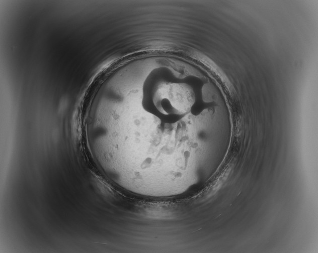 X0000087701067200705111359