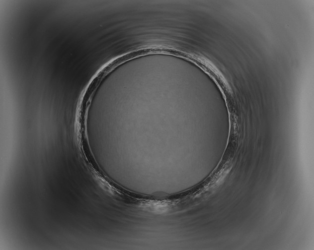 X0000087701068200705111359