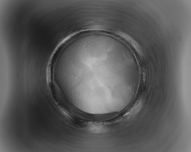 X0000087701069200705111359