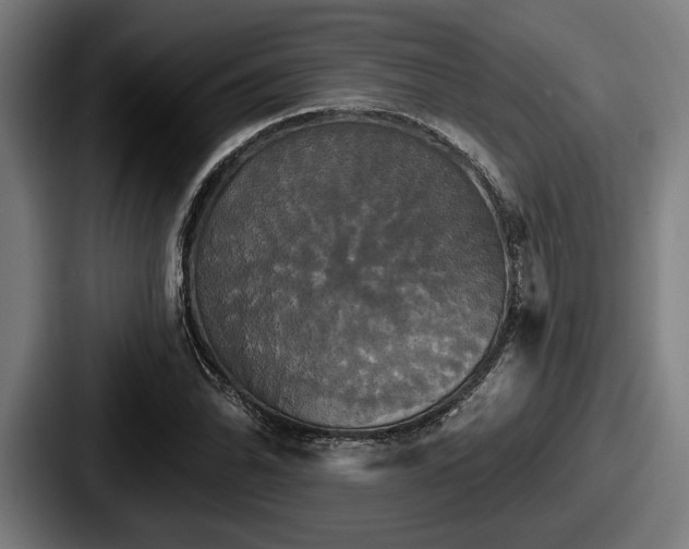 X0000087701070200705111359