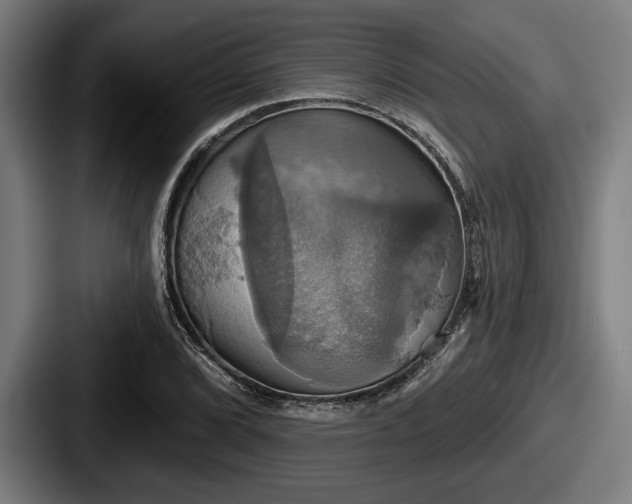 X0000087701072200705111359