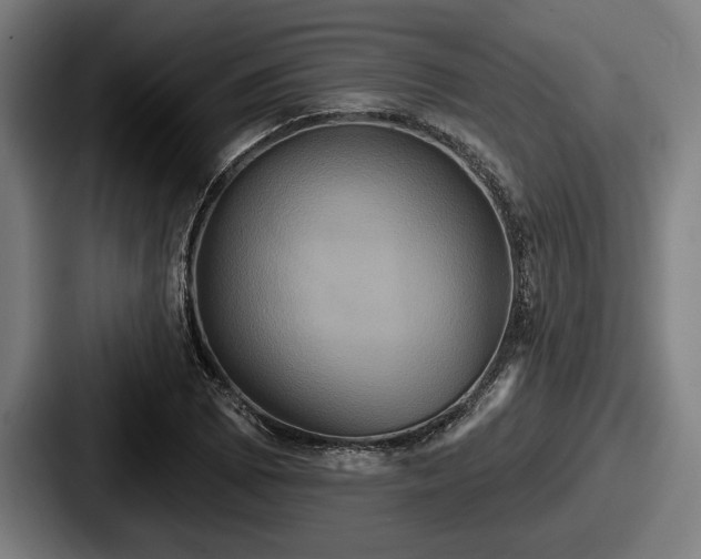 X0000087701073200705111359