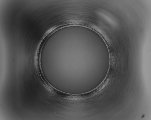 X0000087701074200705111359