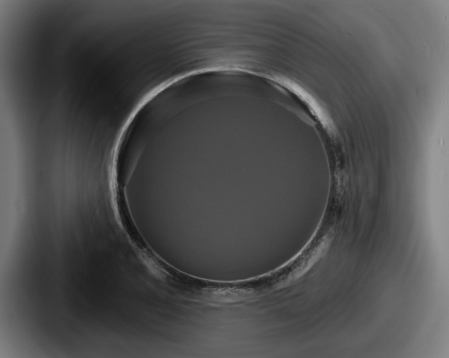 X0000087701077200705111359