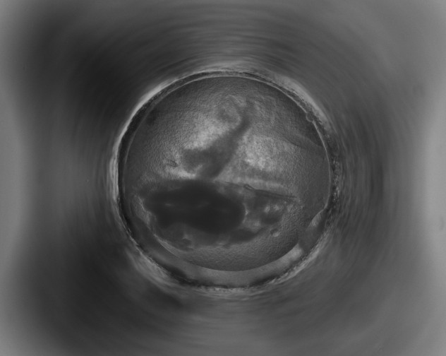 X0000087701079200705111359