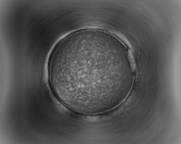 X0000087701080200705111359