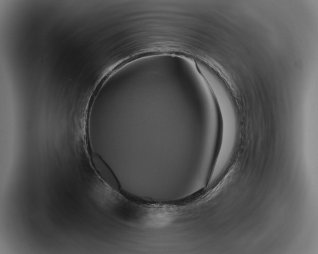 X0000087701081200705111359