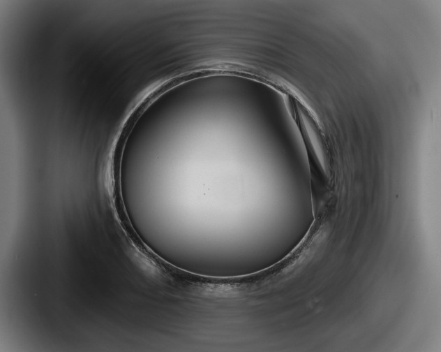 X0000087701082200705111359