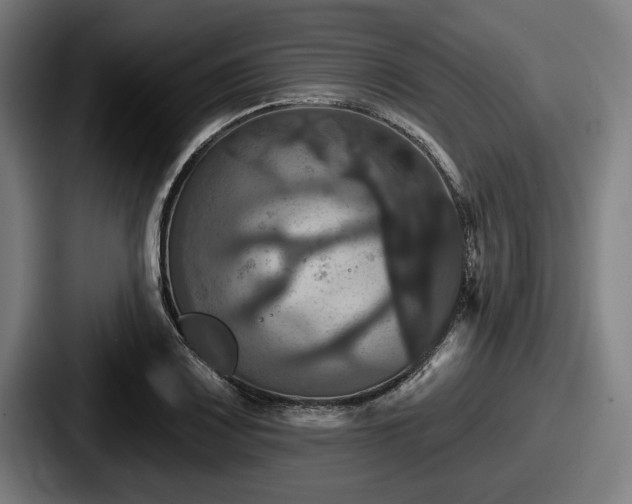 X0000087701083200705111359