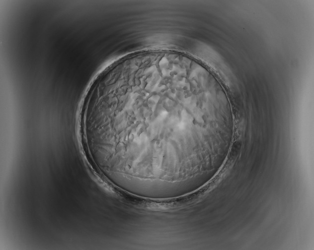 X0000087701086200705111359