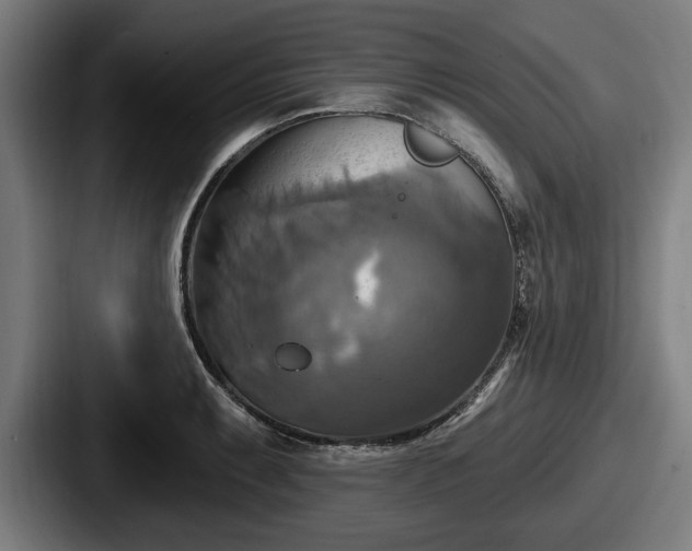 X0000087701087200705111359