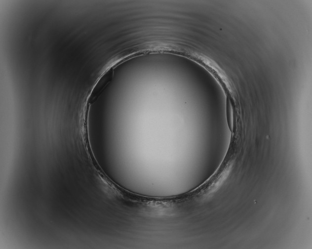 X0000087701089200705111359