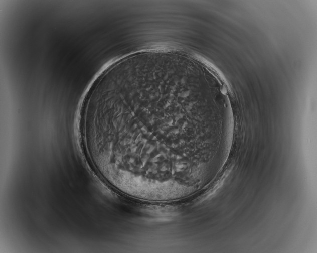 X0000087701091200705111359