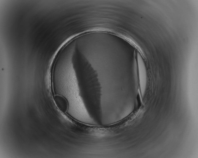 X0000087701092200705111359