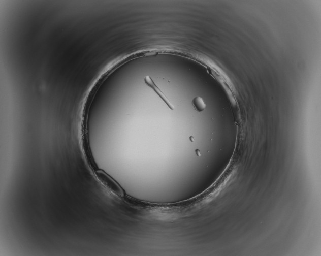 X0000087701093200705111359