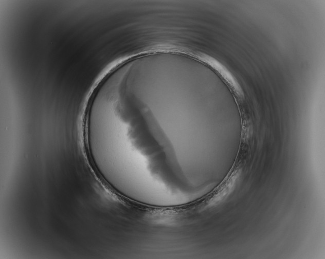 X0000087701094200705111359