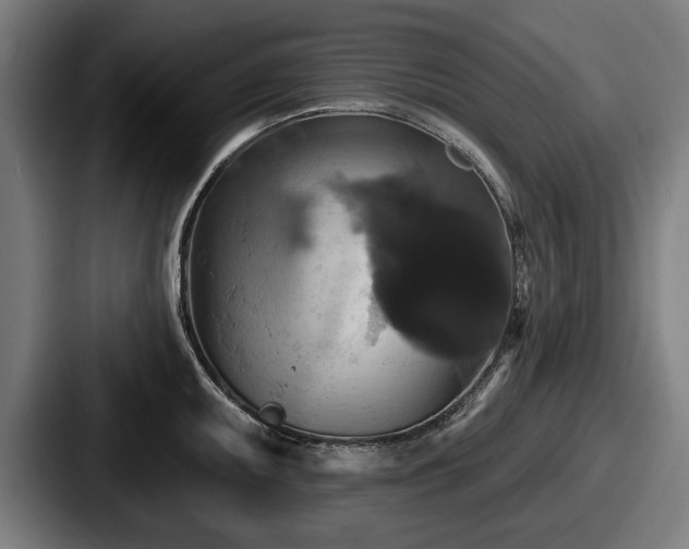 X0000087701095200705111359