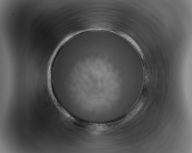 X0000087701096200705111359