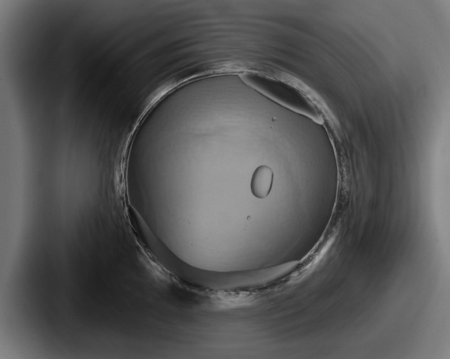 X0000087701097200705111359