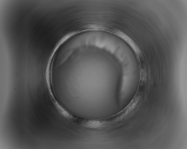 X0000087701098200705111358