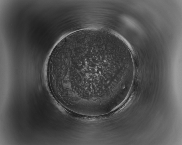 X0000087701099200705111358