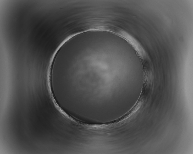 X0000087701100200705111358