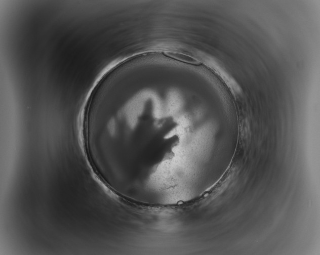 X0000087701103200705111358