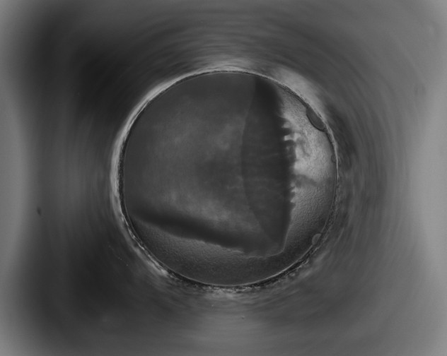 X0000087701104200705111358