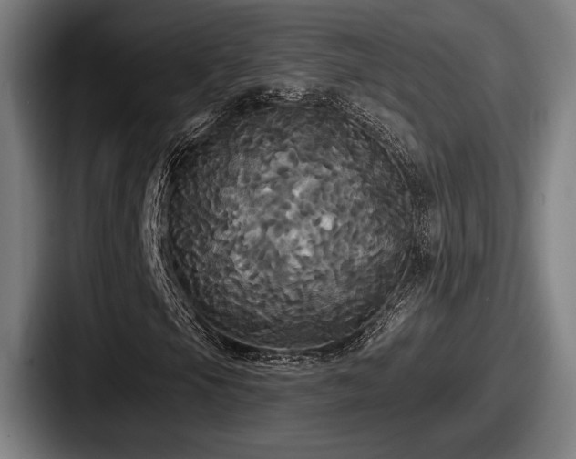 X0000087701105200705111358