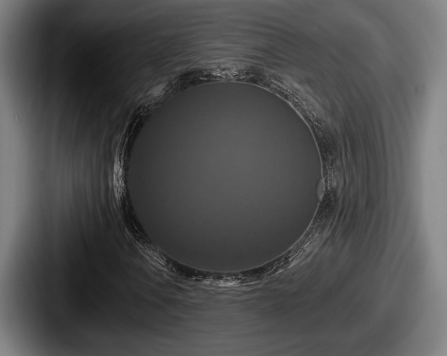 X0000087701106200705111358