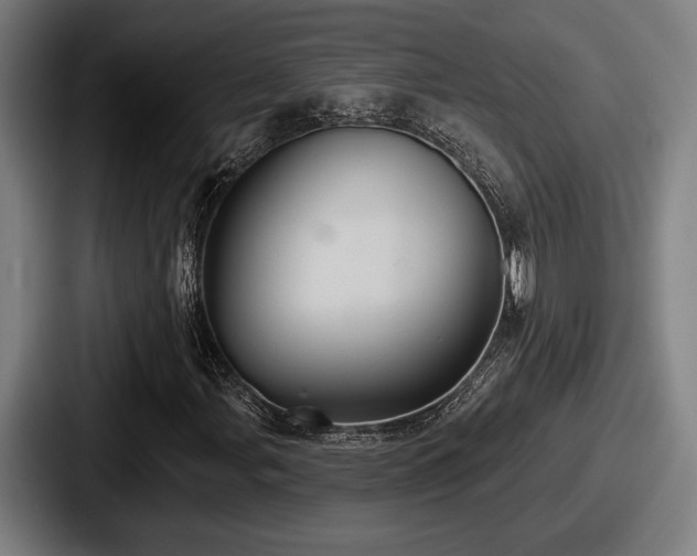 X0000087701107200705111358