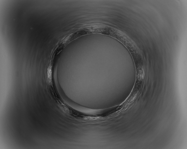 X0000087701108200705111358