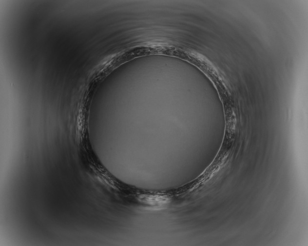 X0000087701110200705111358