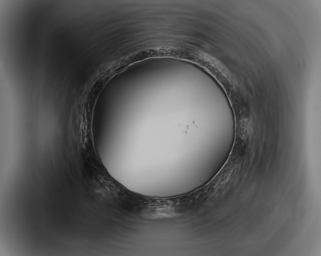 X0000087701111200705111358