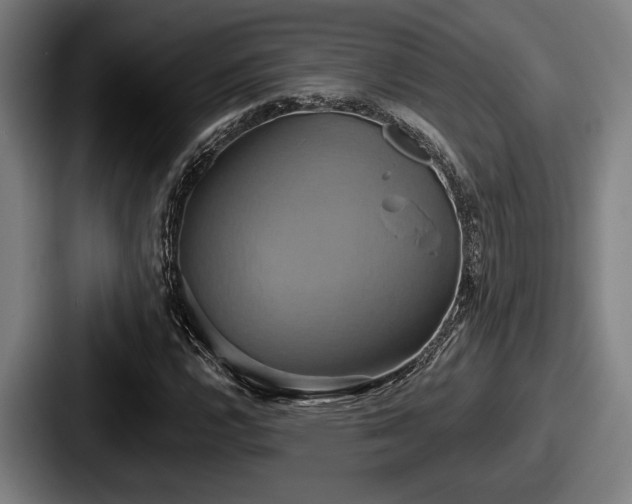 X0000087701112200705111358