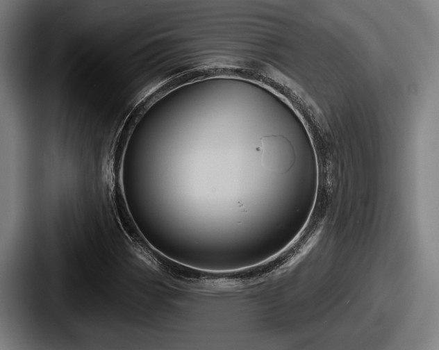 X0000087701113200705111358