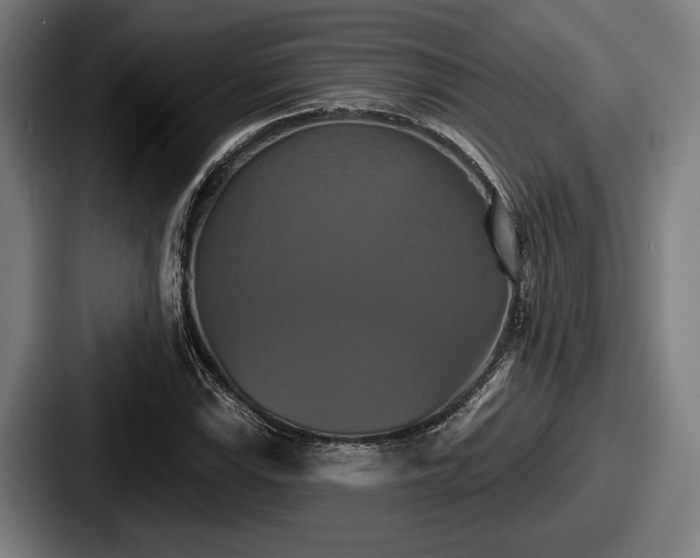 X0000087701115200705111358