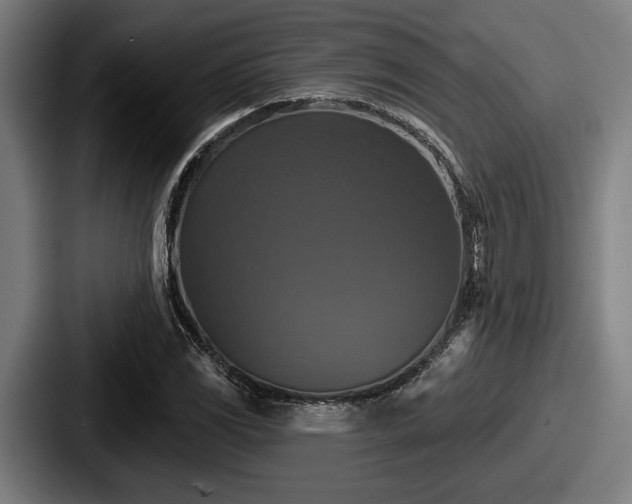 X0000087701117200705111358