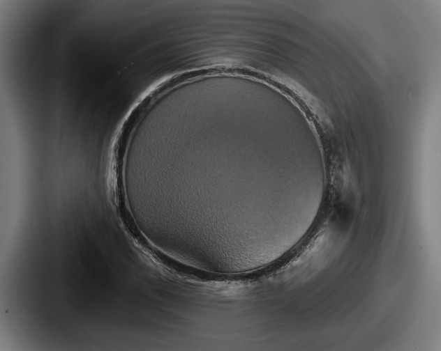 X0000087701118200705111358