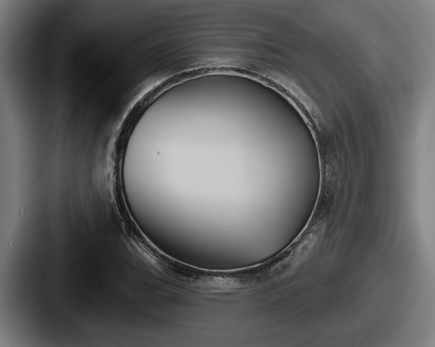 X0000087701119200705111358