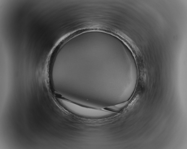 X0000087701120200705111358