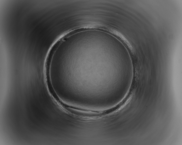 X0000087701122200705111358