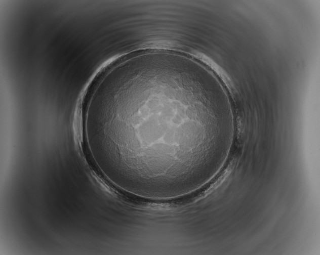 X0000087701123200705111358