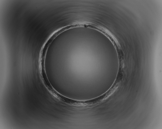 X0000087701124200705111358